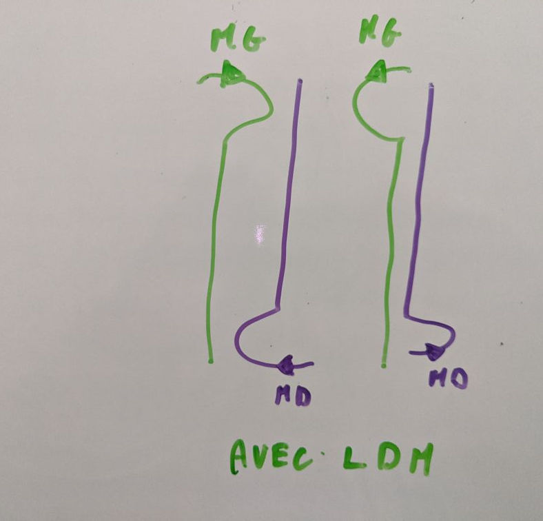 Immagine che contiene testo, lavagnabianca

Descrizione generata automaticamente